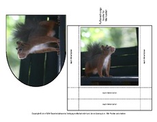 Eichhörnchen-Merkzettel-2.pdf